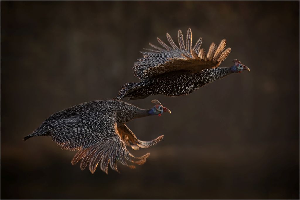 Best Senior Image of the Month